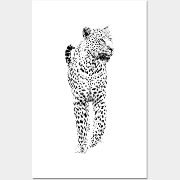 Leopard on the Prowl in Graphic Black and White Wall Art by scotch